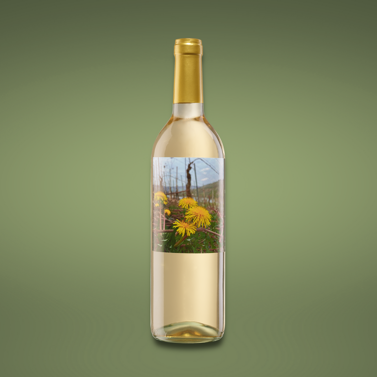 Spätburgunder Blanc de Noir Qualitätswein 2025