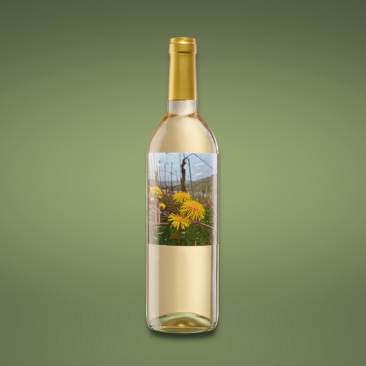 Spätburgunder Blanc de Noir Qualitätswein 2025